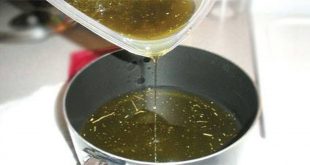 , Here’s The Homemade Marijuana Oil Dish That Individuals Are Using as a Chemo Option, #Bizwhiznetwork.com Innovation &Lambda;Ｉ