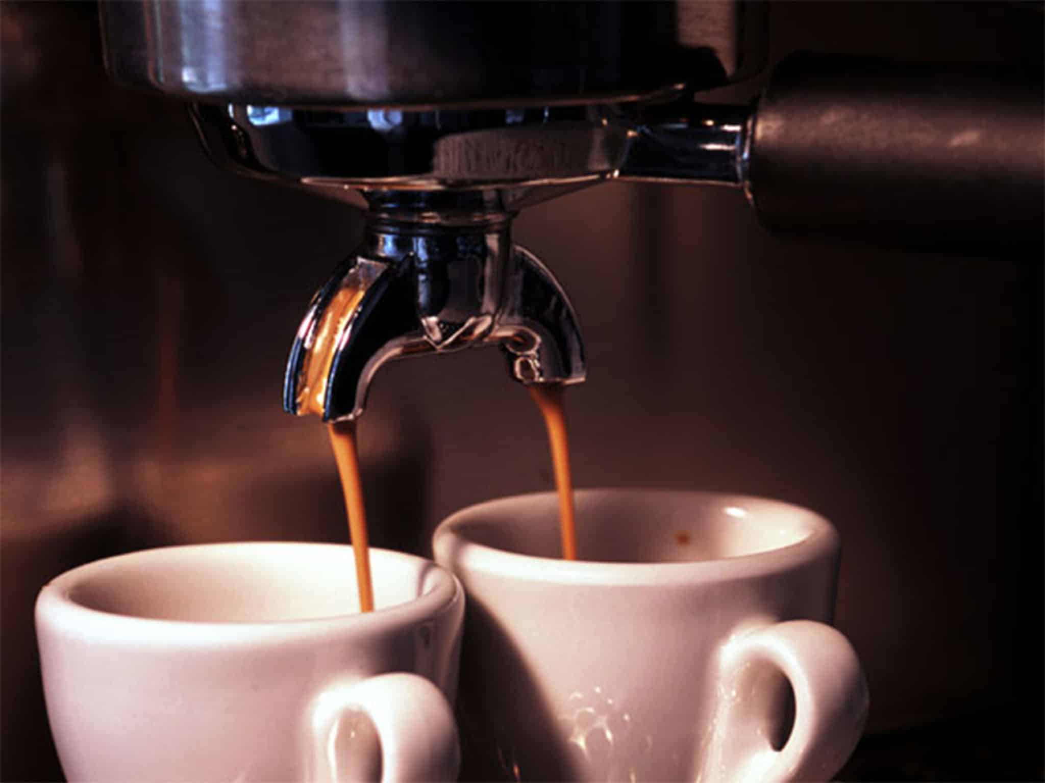 , Morning Brew is a daily business briefing built for millennials, #Bizwhiznetwork.com Innovation ΛＩ