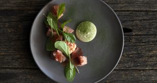 , 10 of the very best Vegetarian Restaurants in Sydney, #Bizwhiznetwork.com Innovation ΛＩ