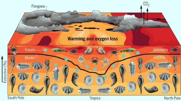 End Permian Marine Mass Extinction Caused By Increased Temperatures Oxygen Loss Study 