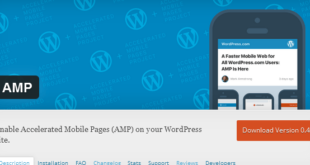 amp-wordpress-plugin-now-supports-stories