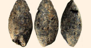 maritime-hunter-gatherers-in-northern-europe-were-growing-wheat-and-barley-5000-years-ago