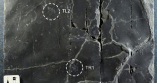 paleontologists-find-exquisitely-preserved-dinosaur-skin-traces
