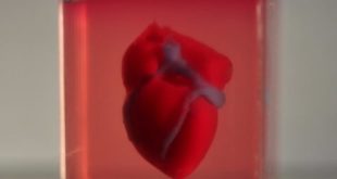 researchers-create-3d-printed-heart-using-patients-own-cells
