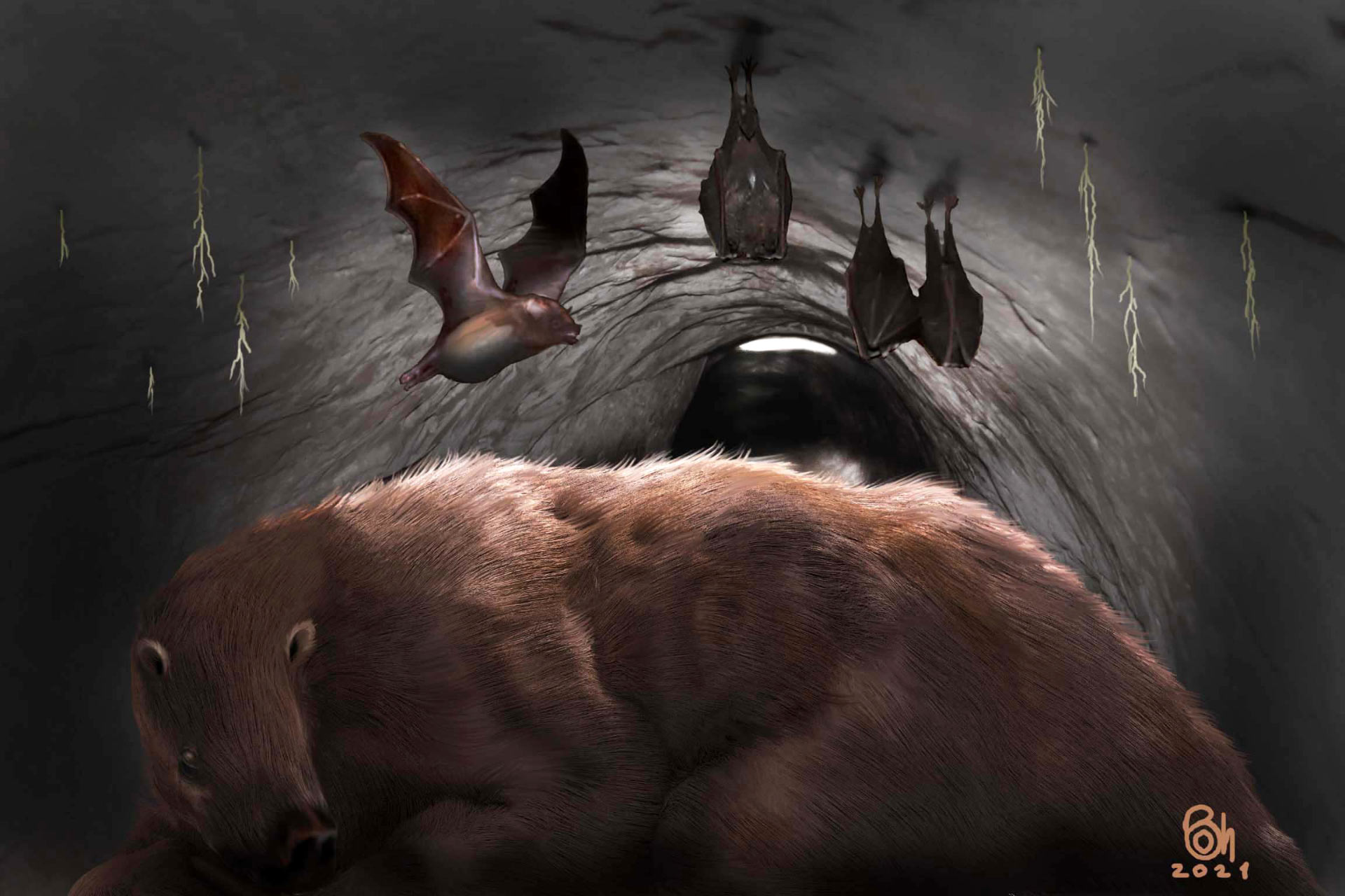 , Giant Vampire Bat Found, #Bizwhiznetwork.com Innovation ΛＩ