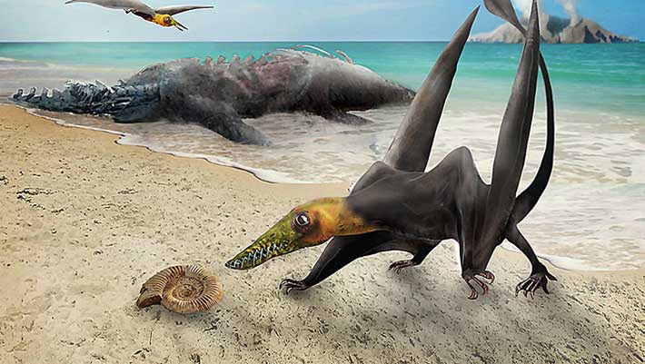 , Jurassic Pterosaur, #Bizwhiznetwork.com Innovation ΛＩ