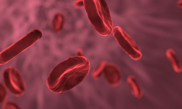 , Red Blood Cells, #Bizwhiznetwork.com Innovation ΛＩ