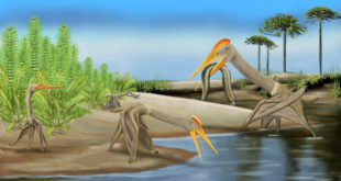 , Giant Pterosaurs, #Bizwhiznetwork.com Innovation ΛＩ