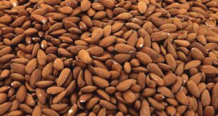 , Almond Consumption, #Bizwhiznetwork.com Innovation ΛＩ