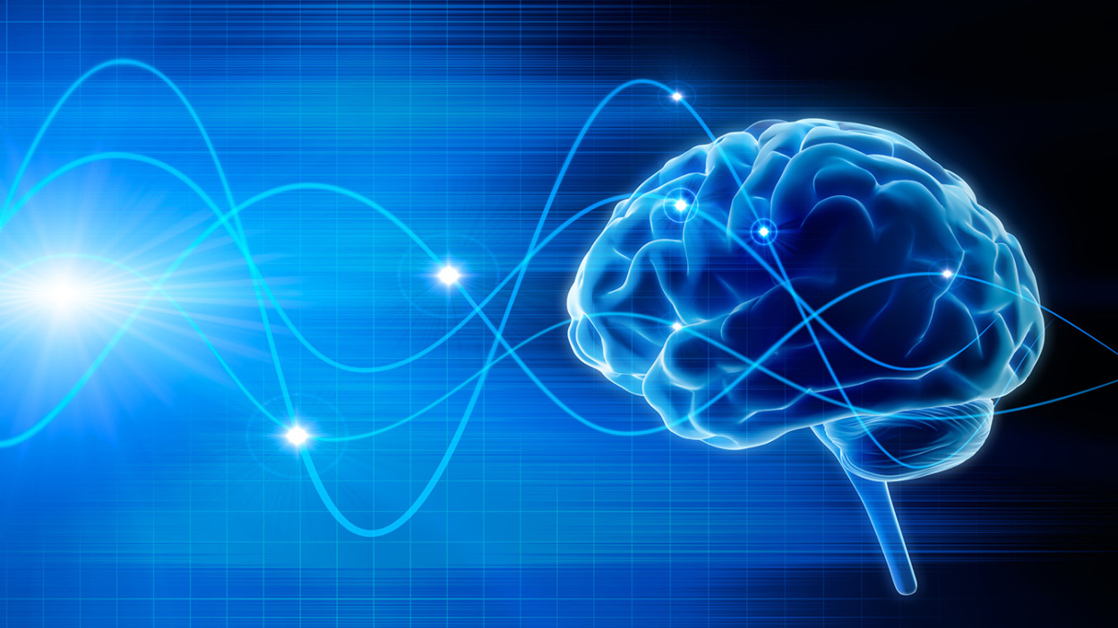 , Biocomputers Could Overpower AI, #Bizwhiznetwork.com Innovation &Lambda;Ｉ