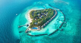 , Taj Coral Reef Resort &amp; Spa gains guest adoration at the Conde Nast Traveller Readers Choice Awards 2023, #Bizwhiznetwork.com Innovation ΛＩ